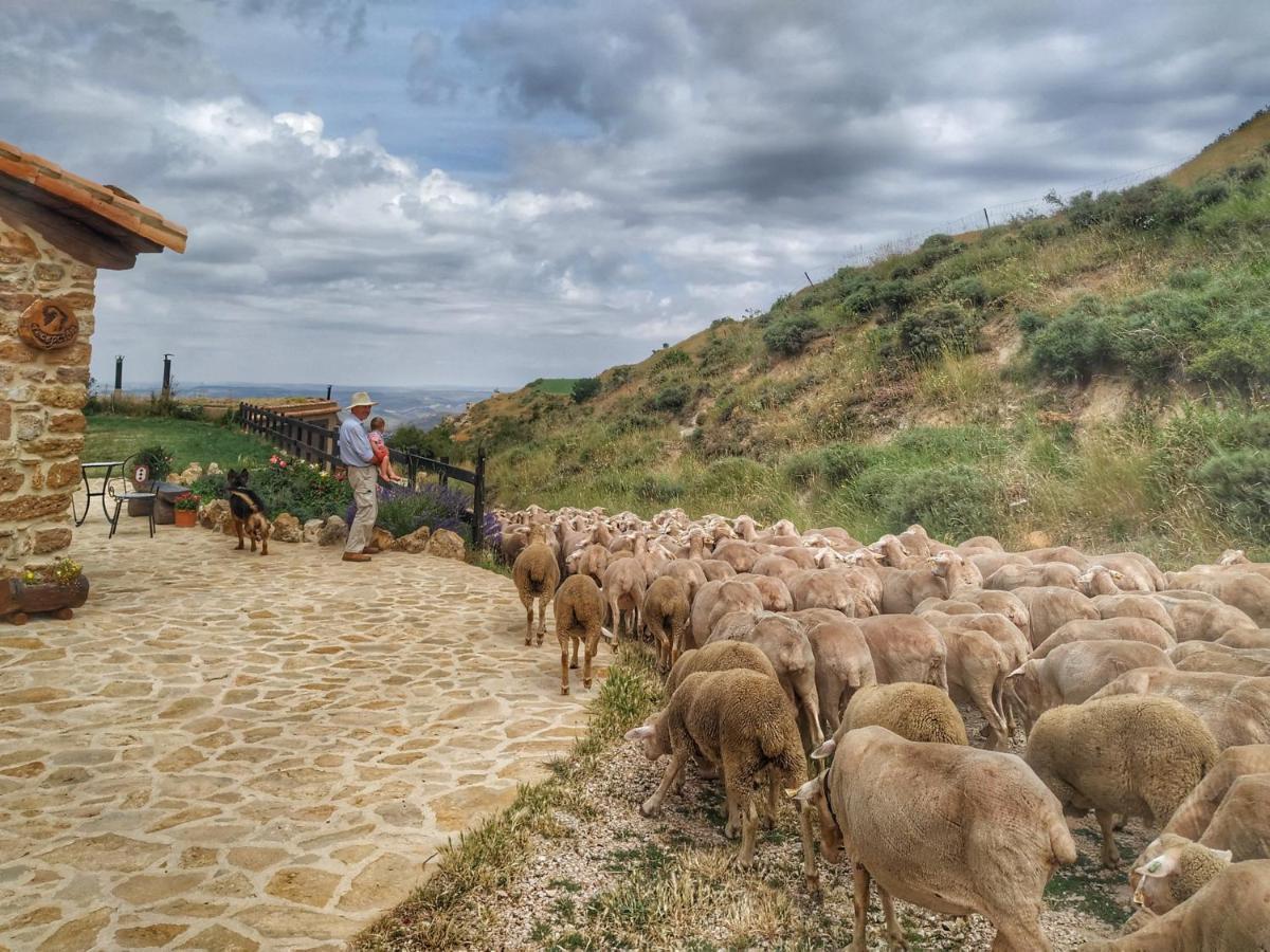 Masia El Cabrero Villarroya de los Pinares Bagian luar foto