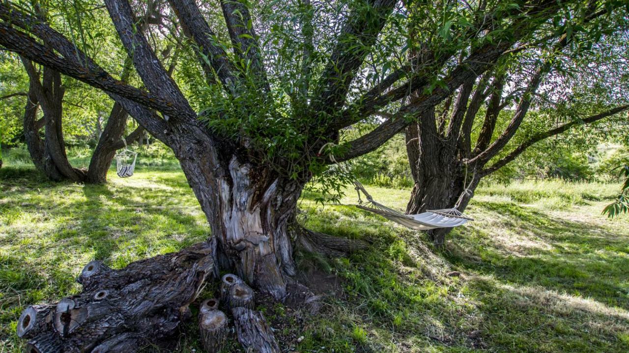Masia El Cabrero Villarroya de los Pinares Bagian luar foto